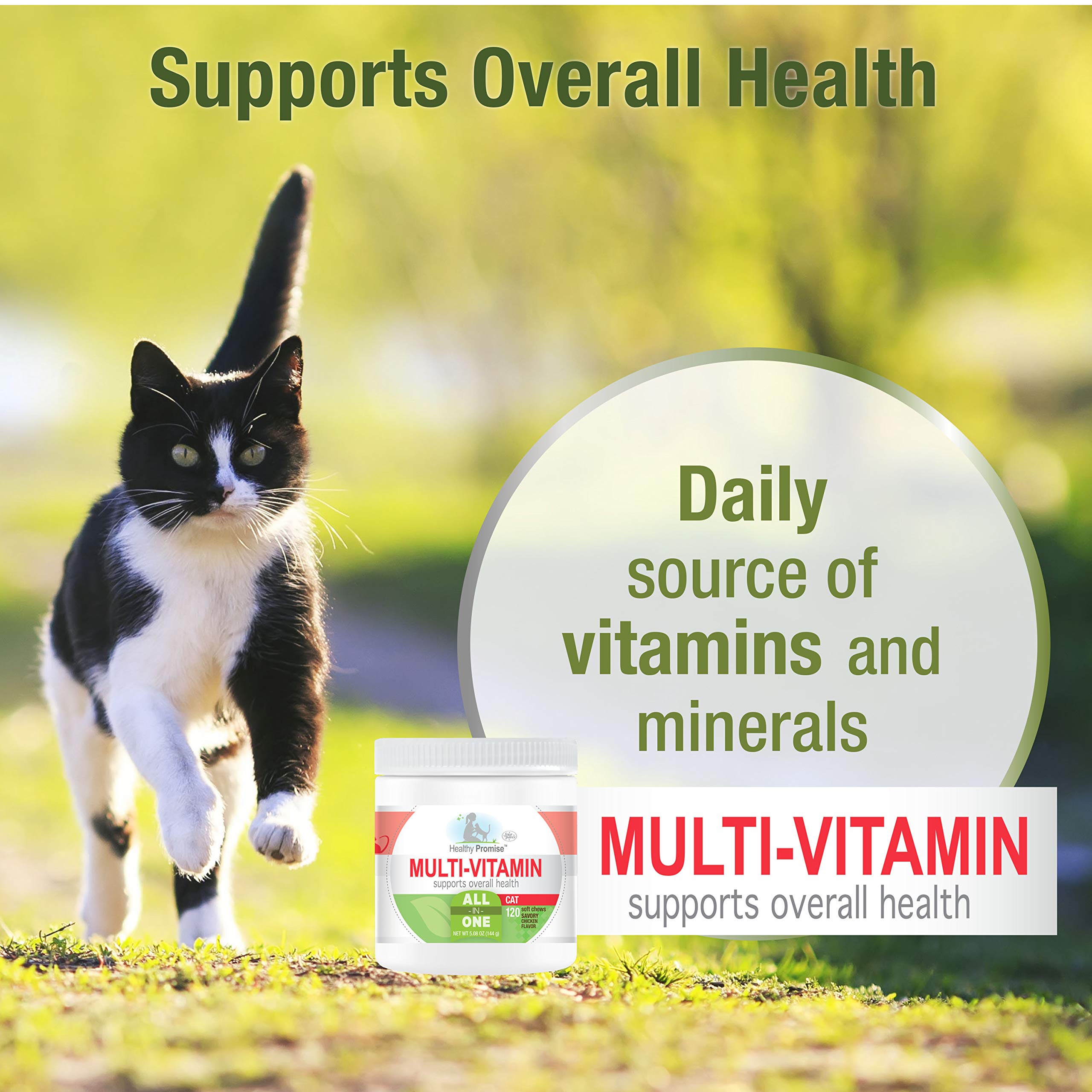 Four Paws Healthy Promise chat, source de bien-être quotidien grâce aux minéraux.