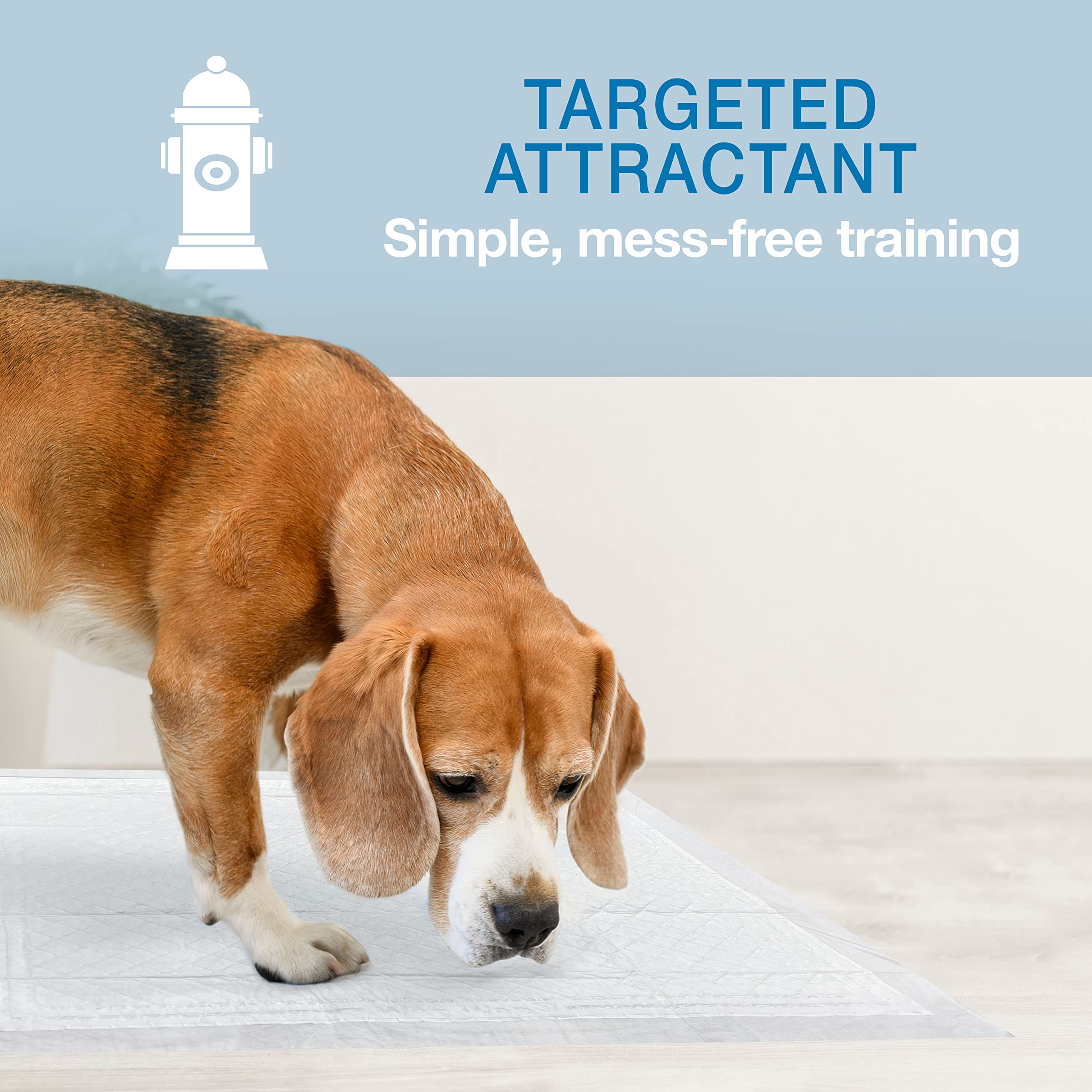 Four Paws Wee-Wee emballage compact réduit l'impact environnemental.