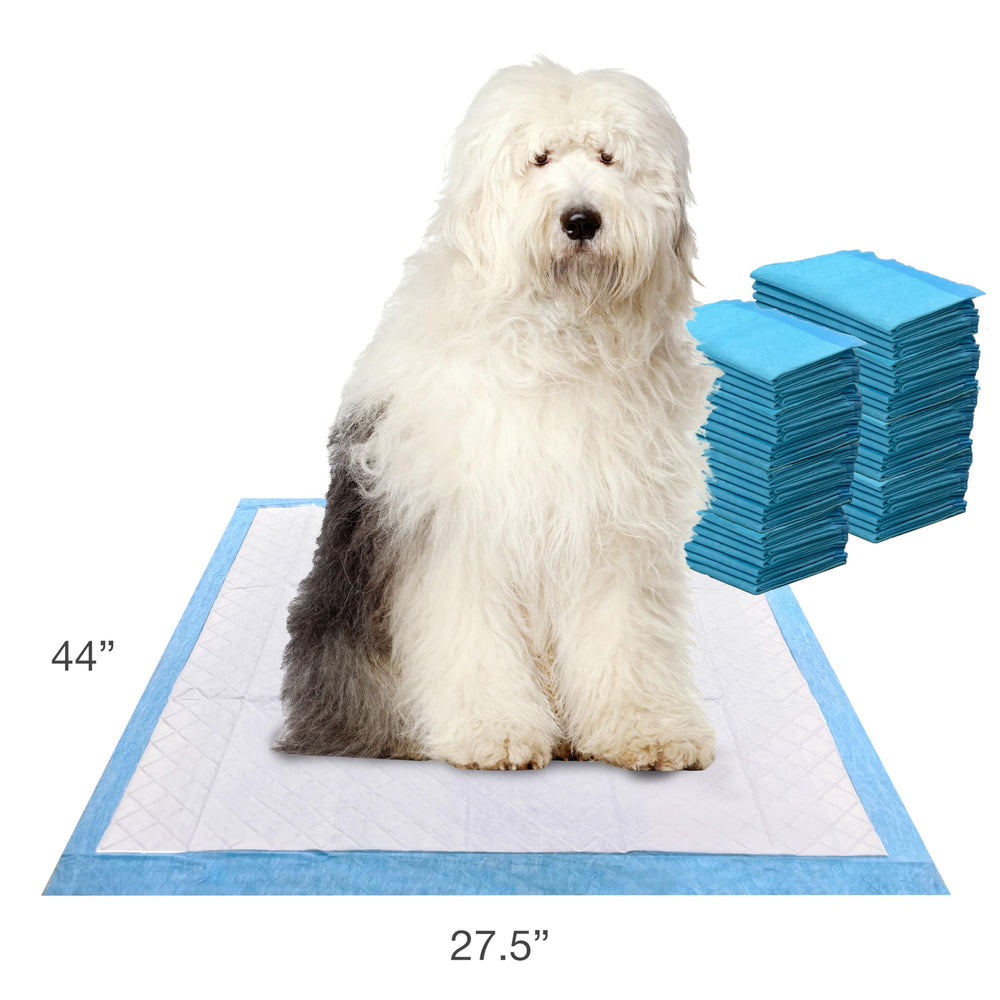 Couche supérieure anti-déchirure et séchage rapide du tapis Wee-Wee.