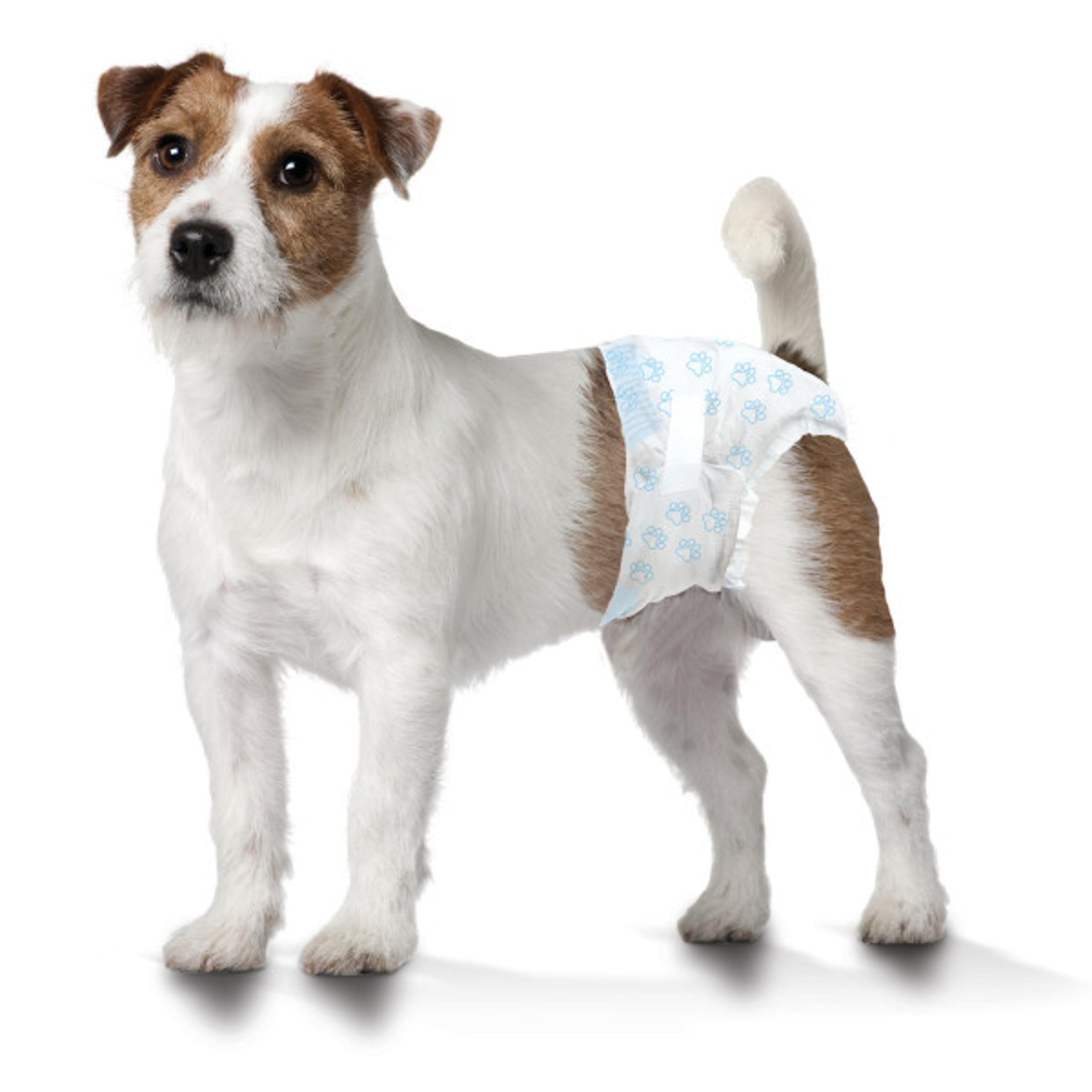Four Paws Wee-Wee design à coutures doubles prévient les fuites