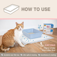 Conception ultra moelleuse pour le confort des pattes du chat