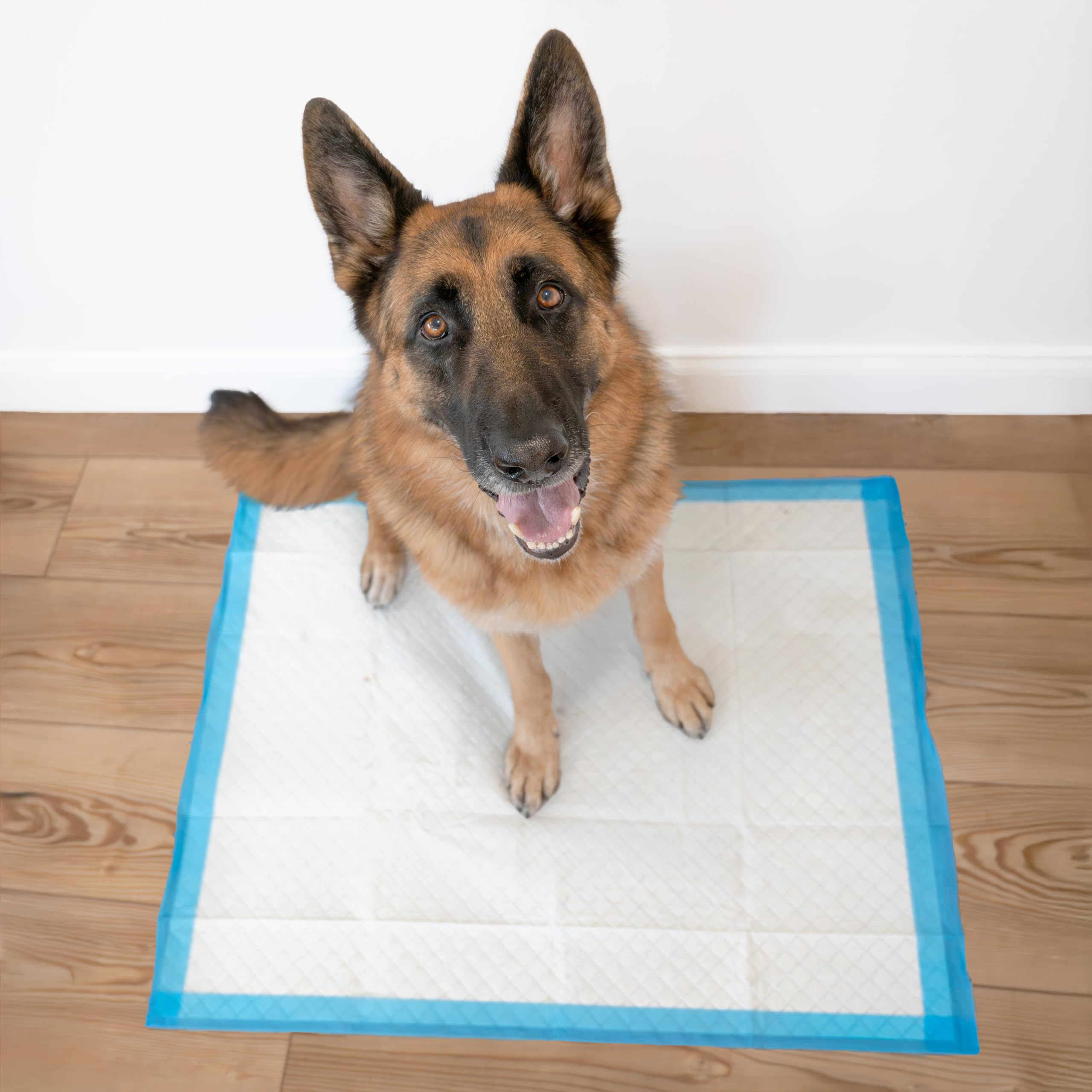 Grand tapis 28x34 pouces pour grands chiens et zone d’apprentissage.