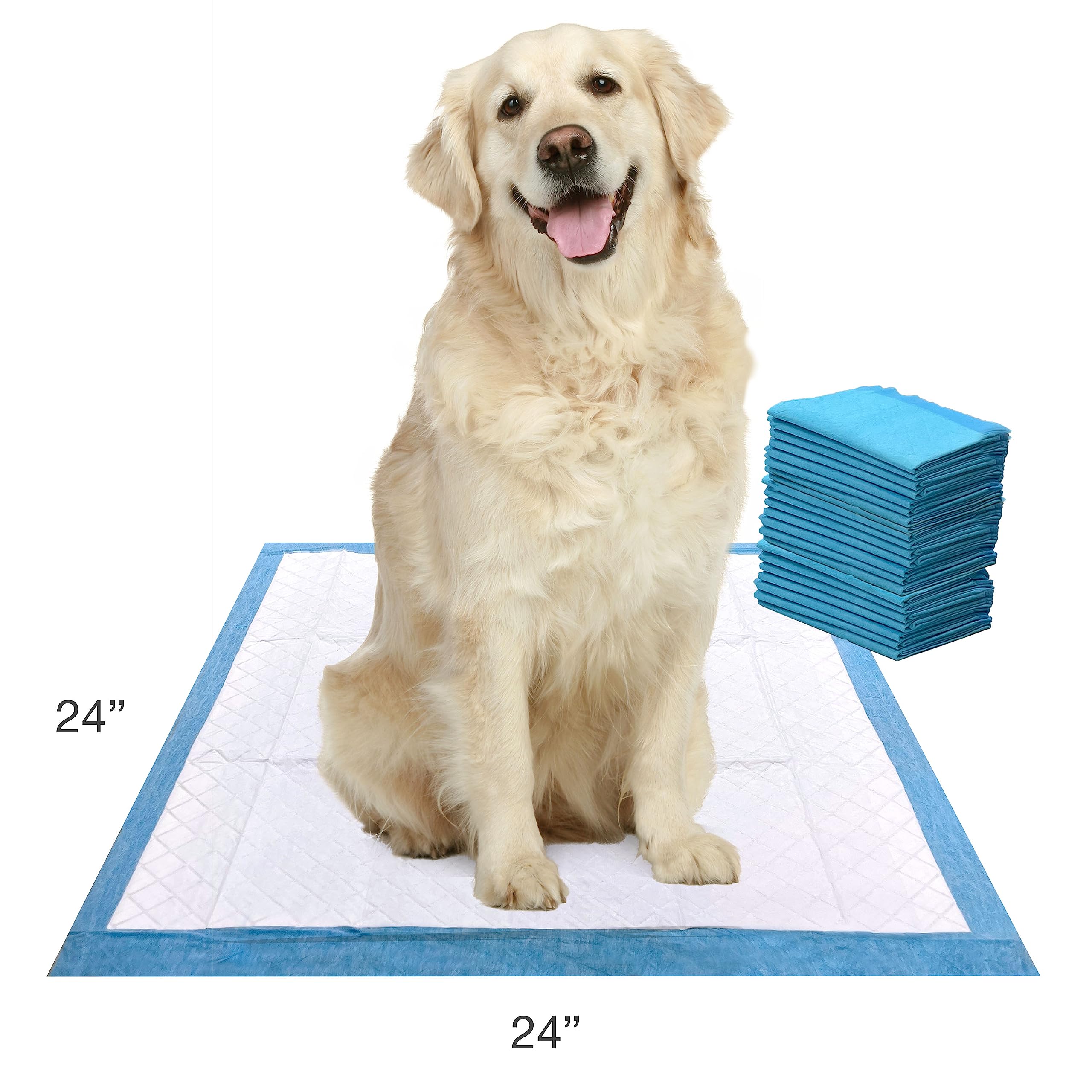 Protection 24 heures Four Paws Wee-Wee pour l’entraînement et les absences.