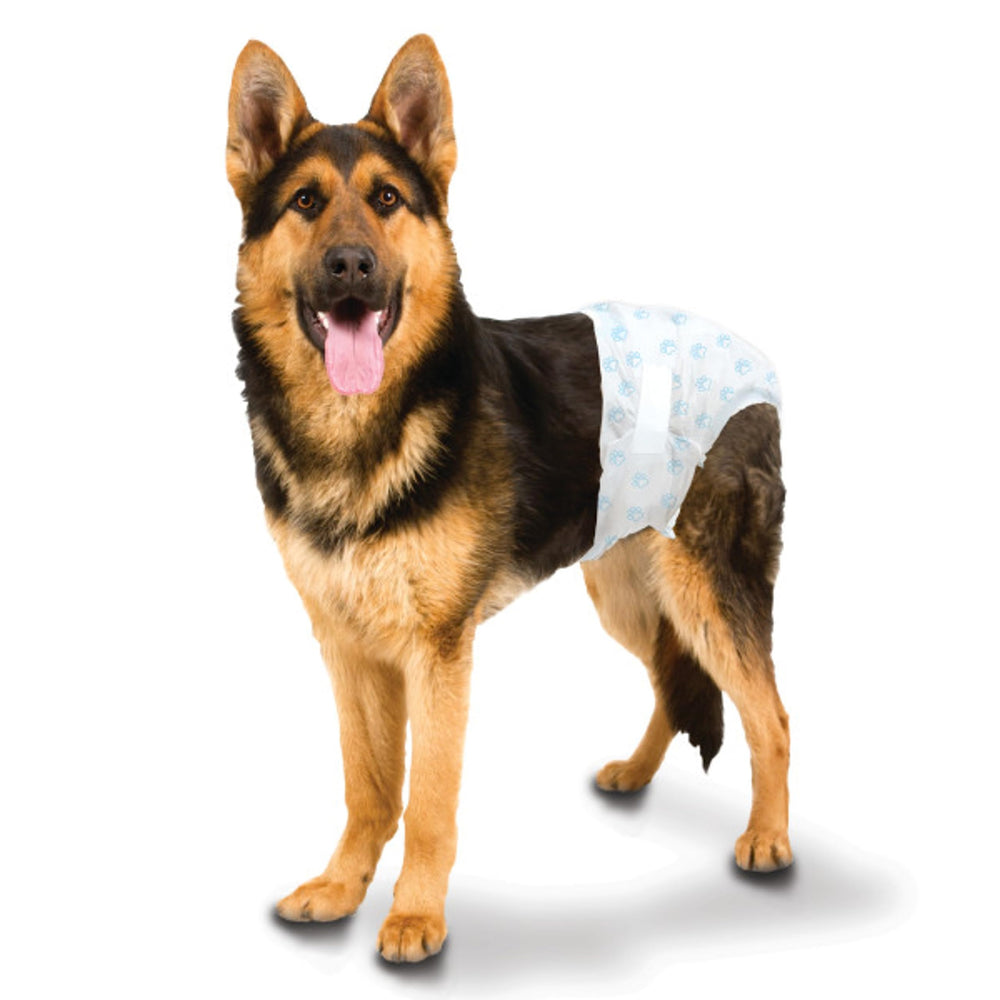 Four Paws Wee-Wee adapté pour chiens mâles et femelles