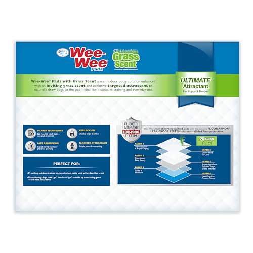 Lot de 100 tapis Wee-Wee, solution économique.