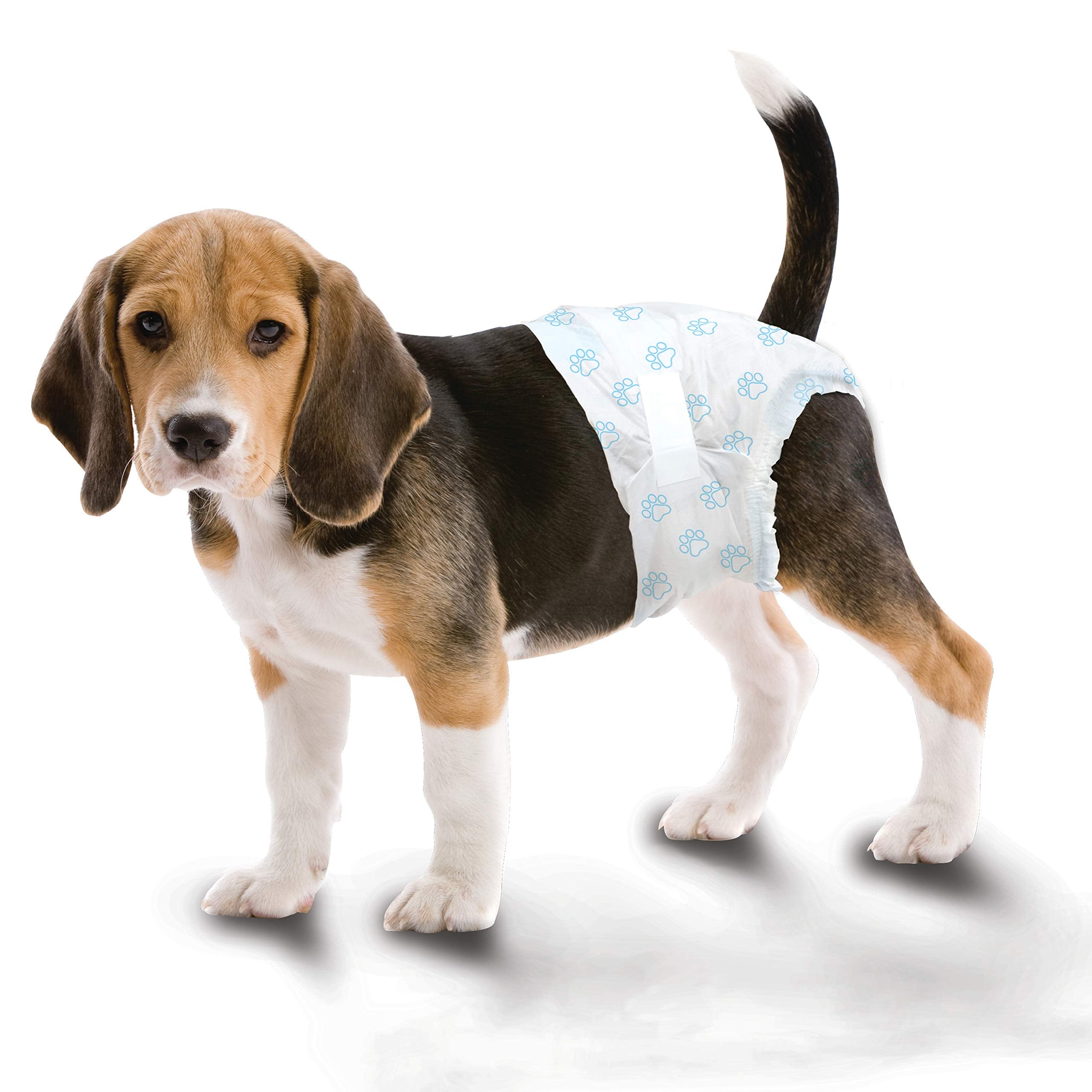 Four Paws Wee-Wee: idéal pour incontinence et besoins quotidiens des chiens.