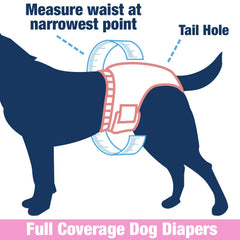 Barrière anti-fuite et confort sur un wrap Four Paws Wee-Wee pour chien mâle.