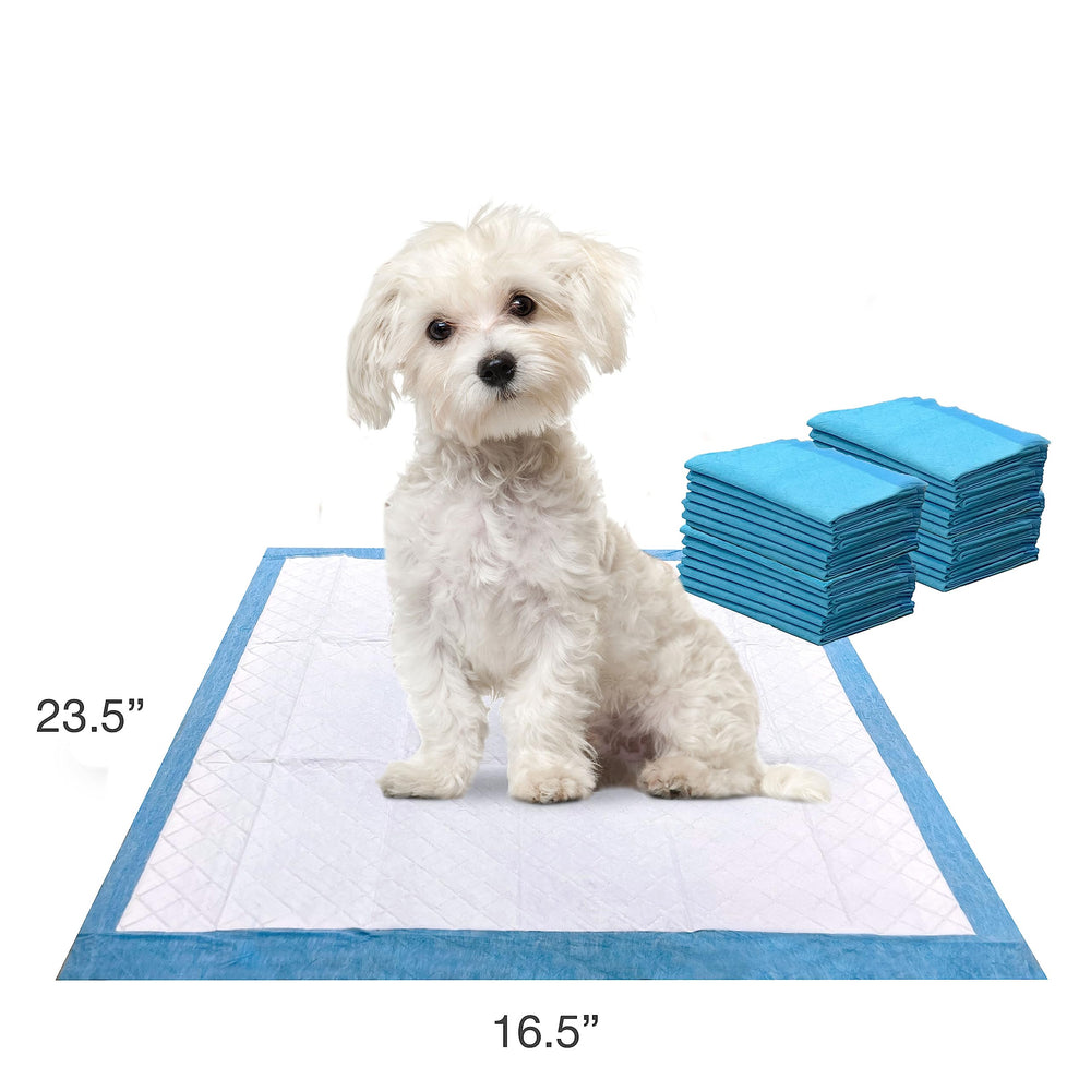 Four Paws Wee-Wee attractant ciblé favorisant l apprentissage