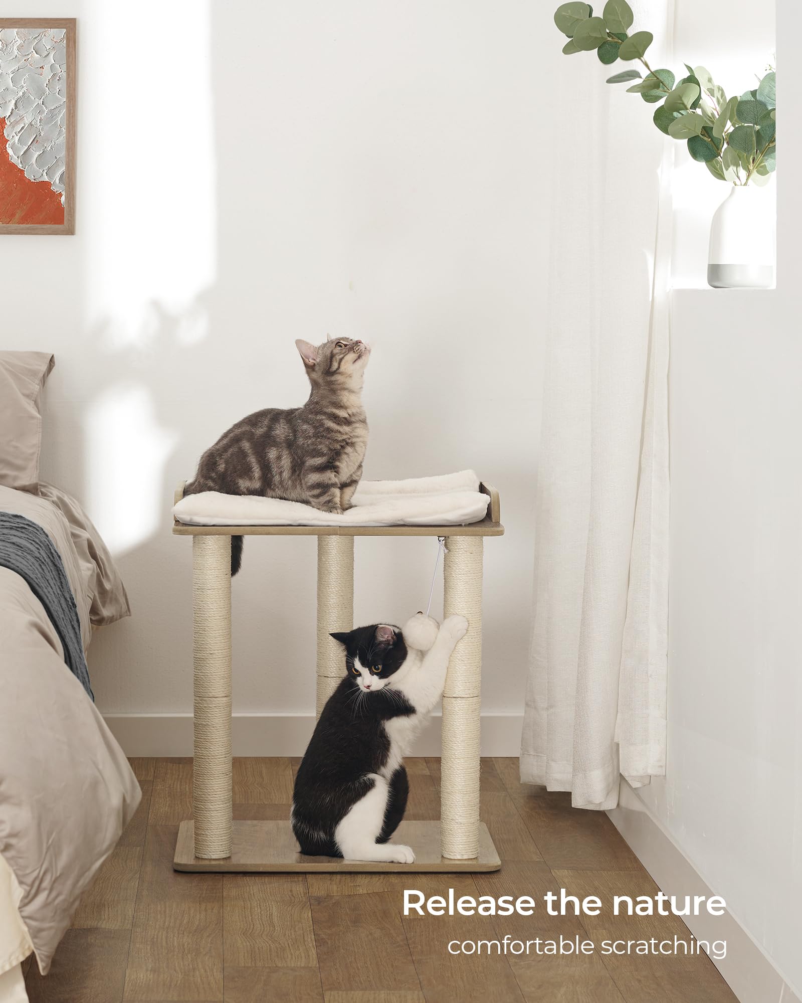 FourFurPets base stable et antidérapante pour sécurité.