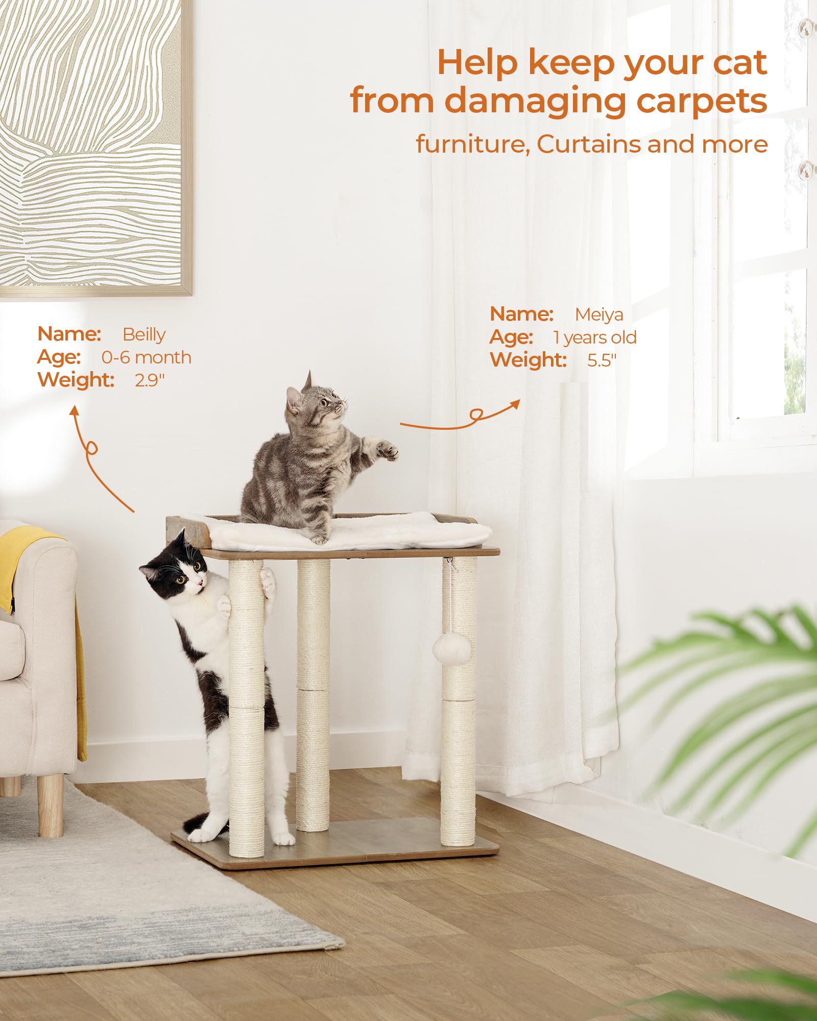 FourFurPets piliers sisal naturels, zone de griffage durable.