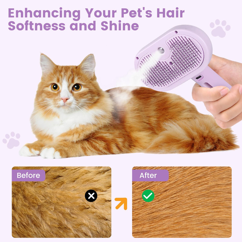 FourSeas Brosse Cadeau Chat Violet: packaging élégant pour les propriétaires.