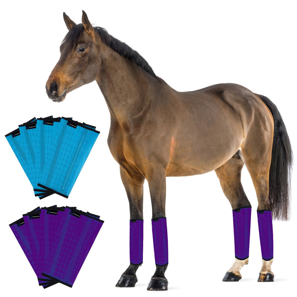 FOXLVDA Bottes anti-mouches pour chevaux – ensemble de 8, protection complète des jambes
