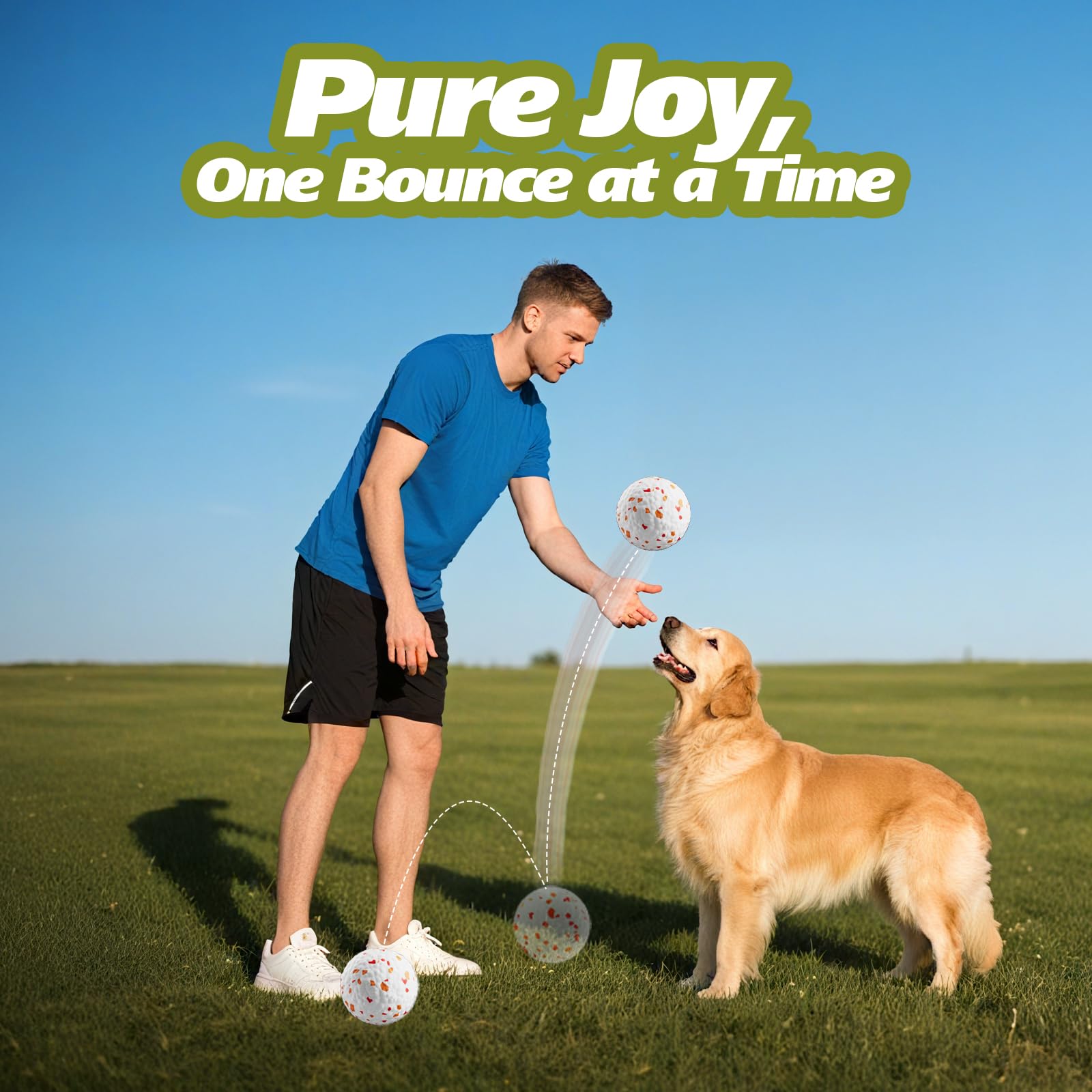 FOXMM emballage cadeau attrayant, prêt à offrir pour les amoureux des chiens.
