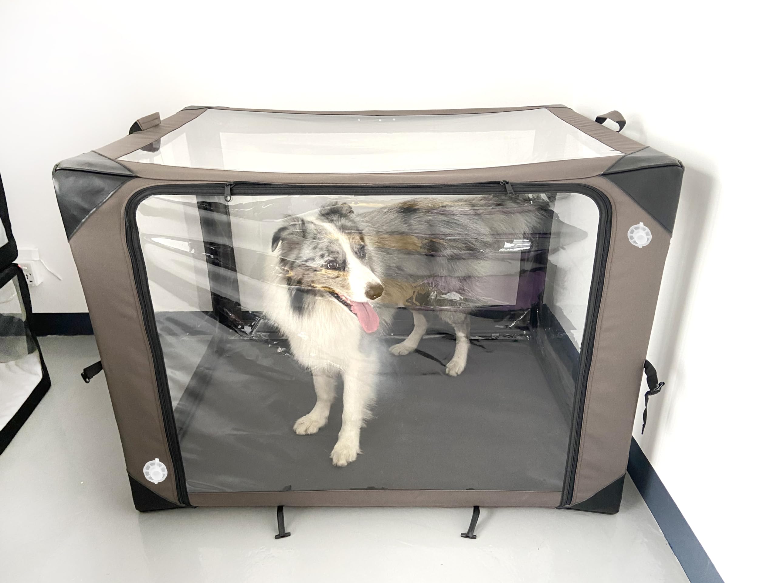Foxtoes cage ICU coussin confort et housse amovible.