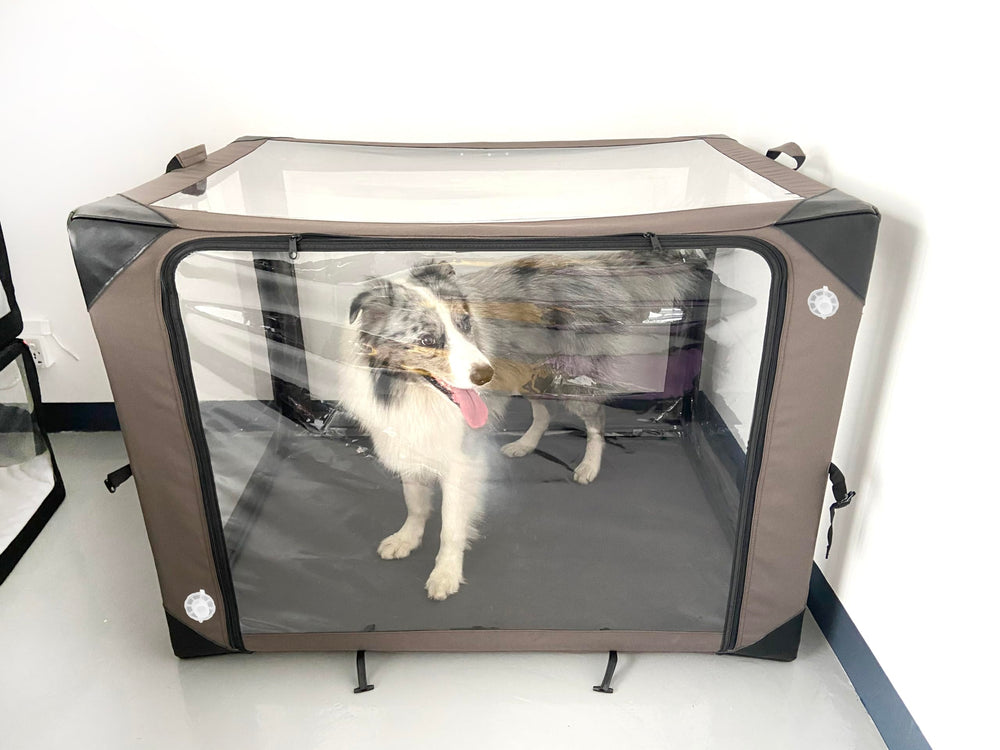 Foxtoes cage ICU coussin confort et housse amovible.