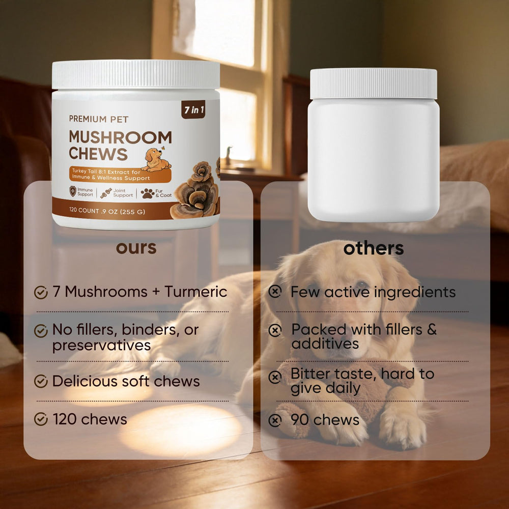 Bocal contenant les friandises FQMUEV, conservation pratique et dosage.