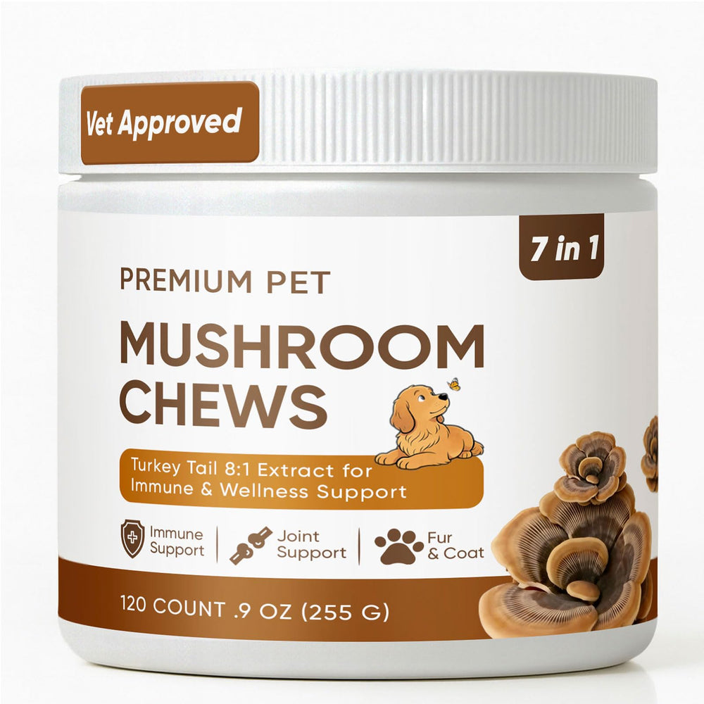 FQMUEV Queue de dindon pour chiens dans une boîte, soutien immunitaire potentiel.