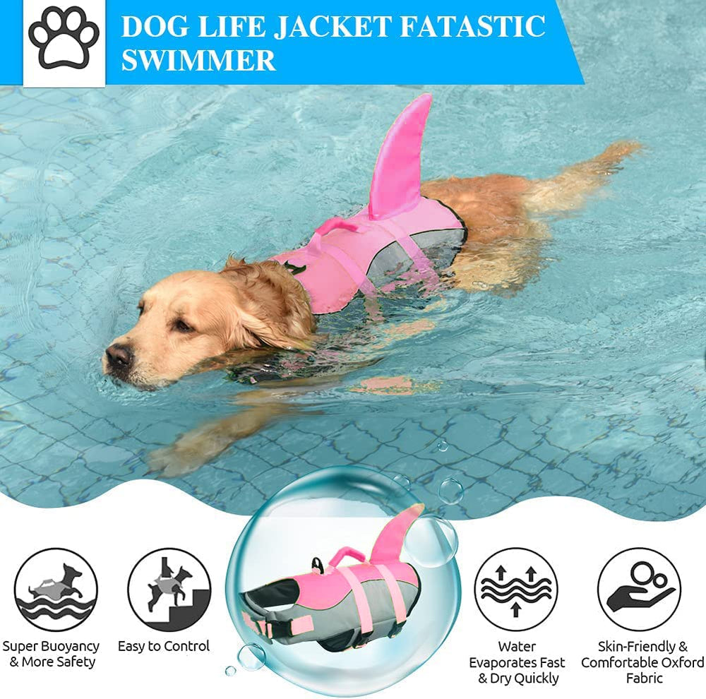Fragralley gilet chien requin avant pour visibilité accrue sur l'eau.
