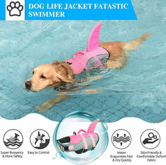 Fragralley gilet chien requin avant pour visibilité accrue sur l'eau.
