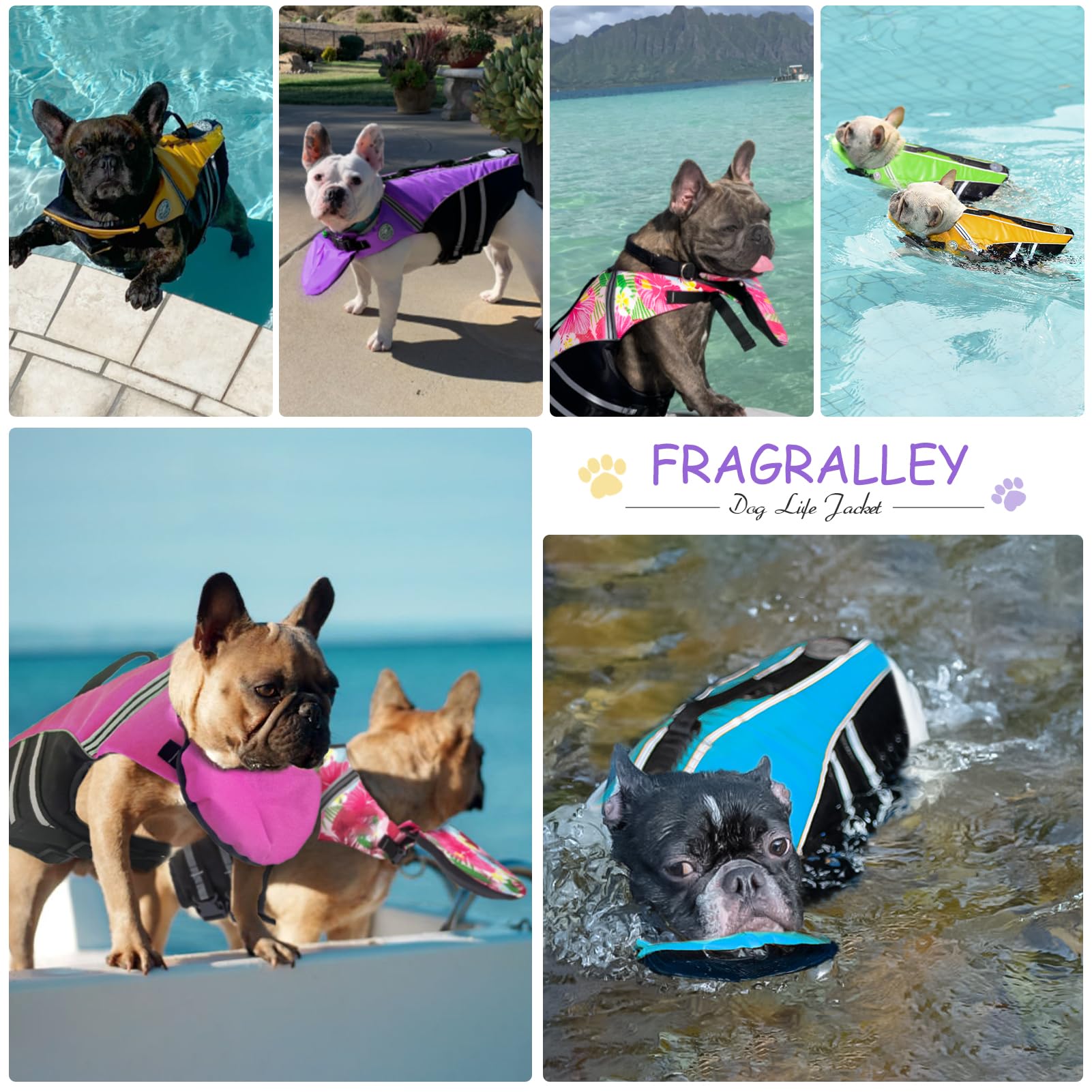 Guide poitrine Fragralley 43–76 cm, adaptable pour chiens de 7–12 kg.