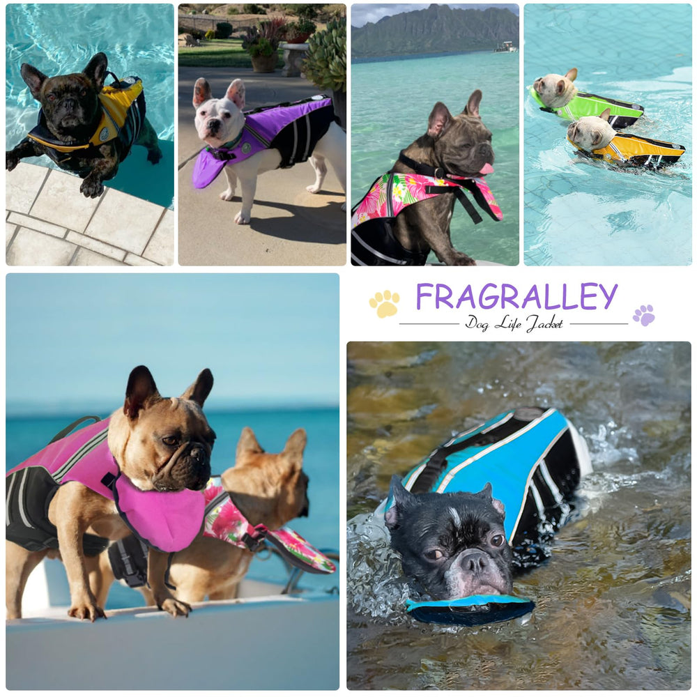 Guide poitrine Fragralley 43–76 cm, adaptable pour chiens de 7–12 kg.