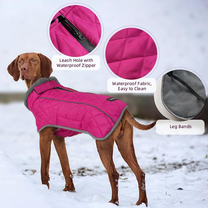 Ouverture zippée etanche pour attacher la laisse et rester sec.