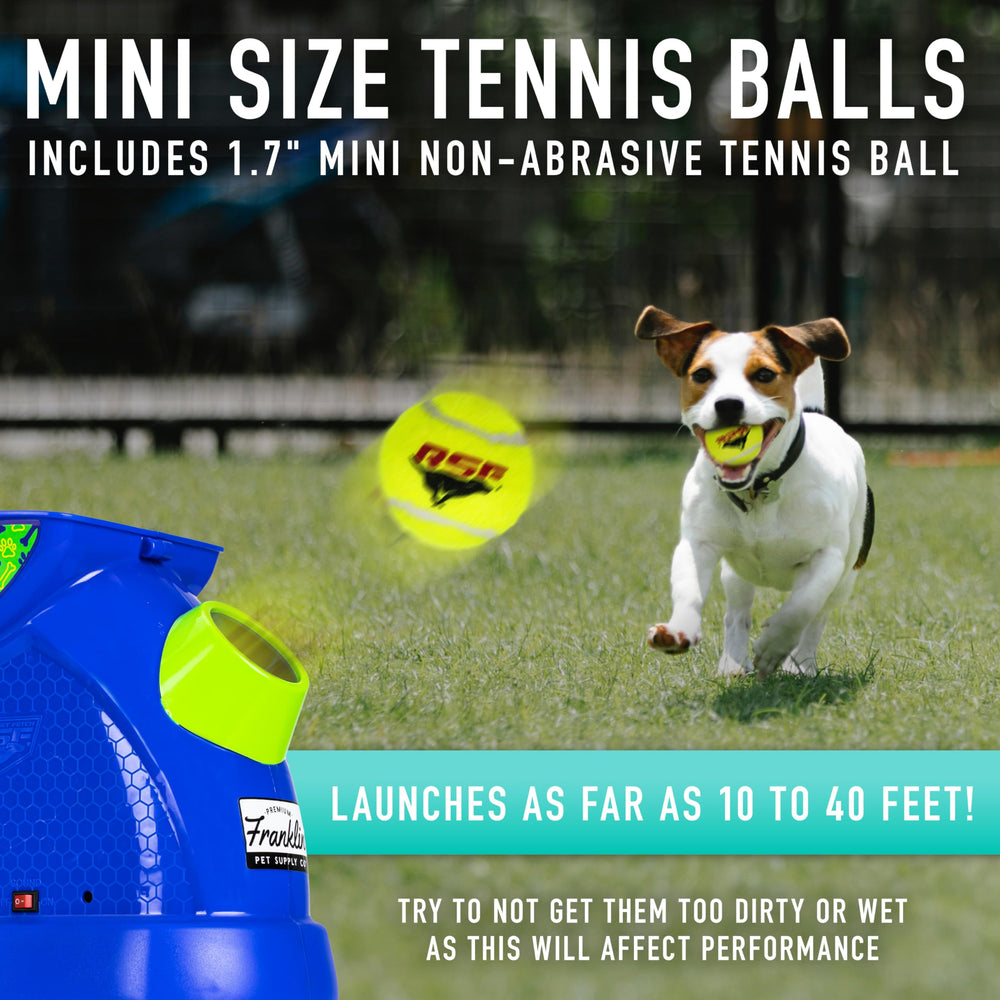 Franklin Ready Set Fetch Mini balle mini 1,7 pouces incluse.