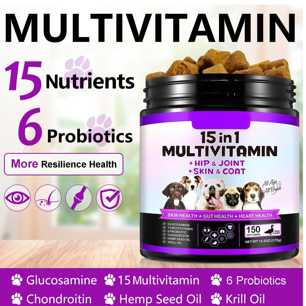 FRDUGA probiotiques, flore intestinale équilibrée pour digestion