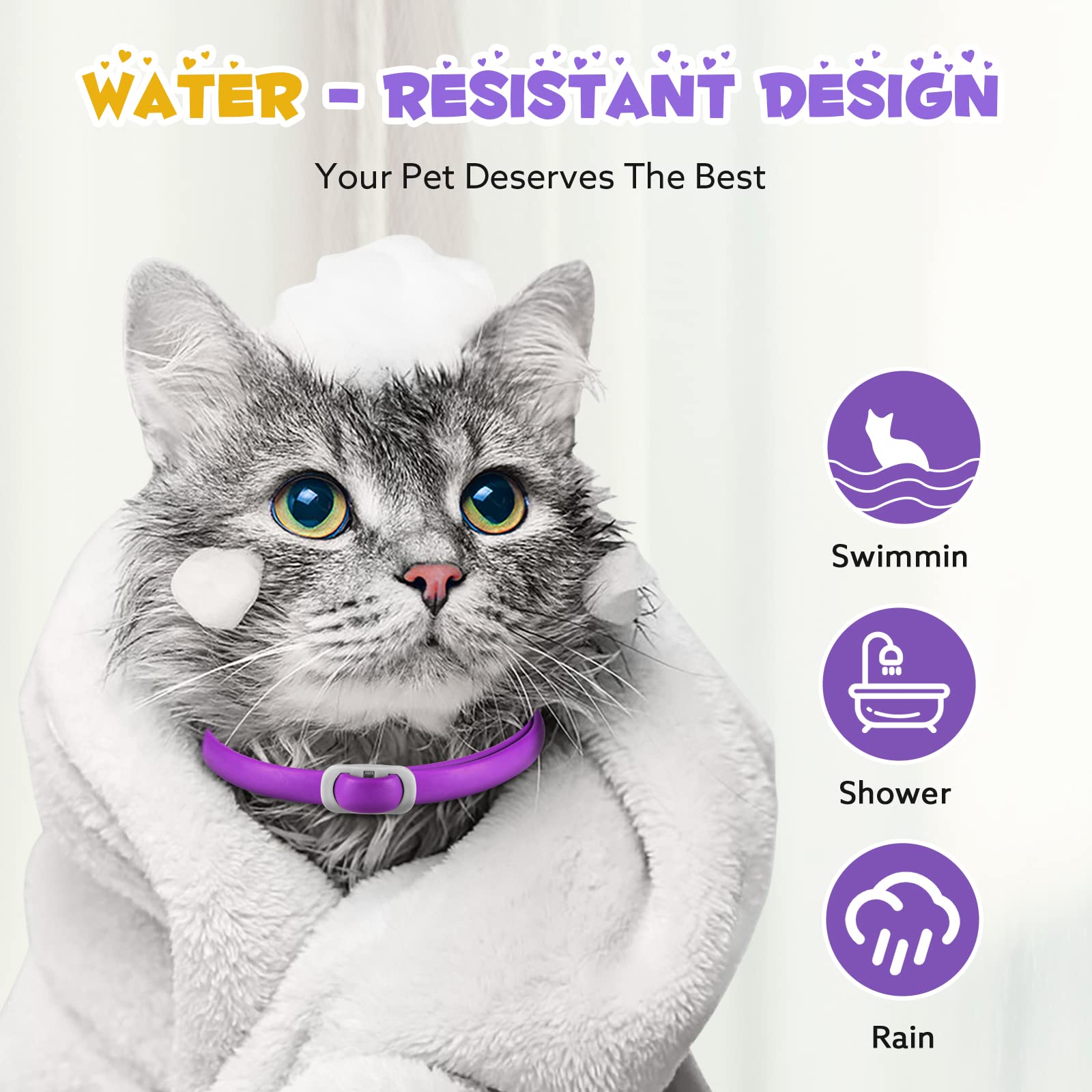 Système de libération rapide FRDUGA pour collier de chat sûr.