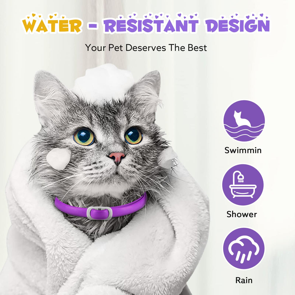 Système de libération rapide FRDUGA pour collier de chat sûr.