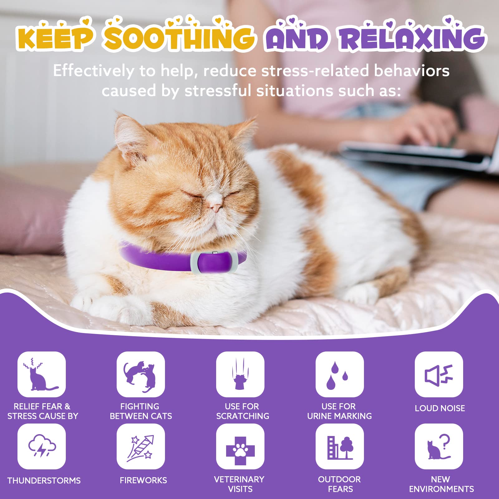 Utilisation quotidienne du collier FRDUGA pour un chat plus détendu.