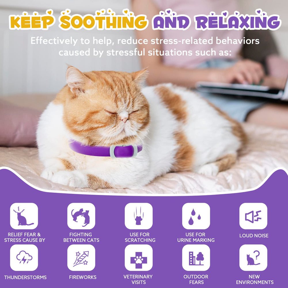 Utilisation quotidienne du collier FRDUGA pour un chat plus détendu.