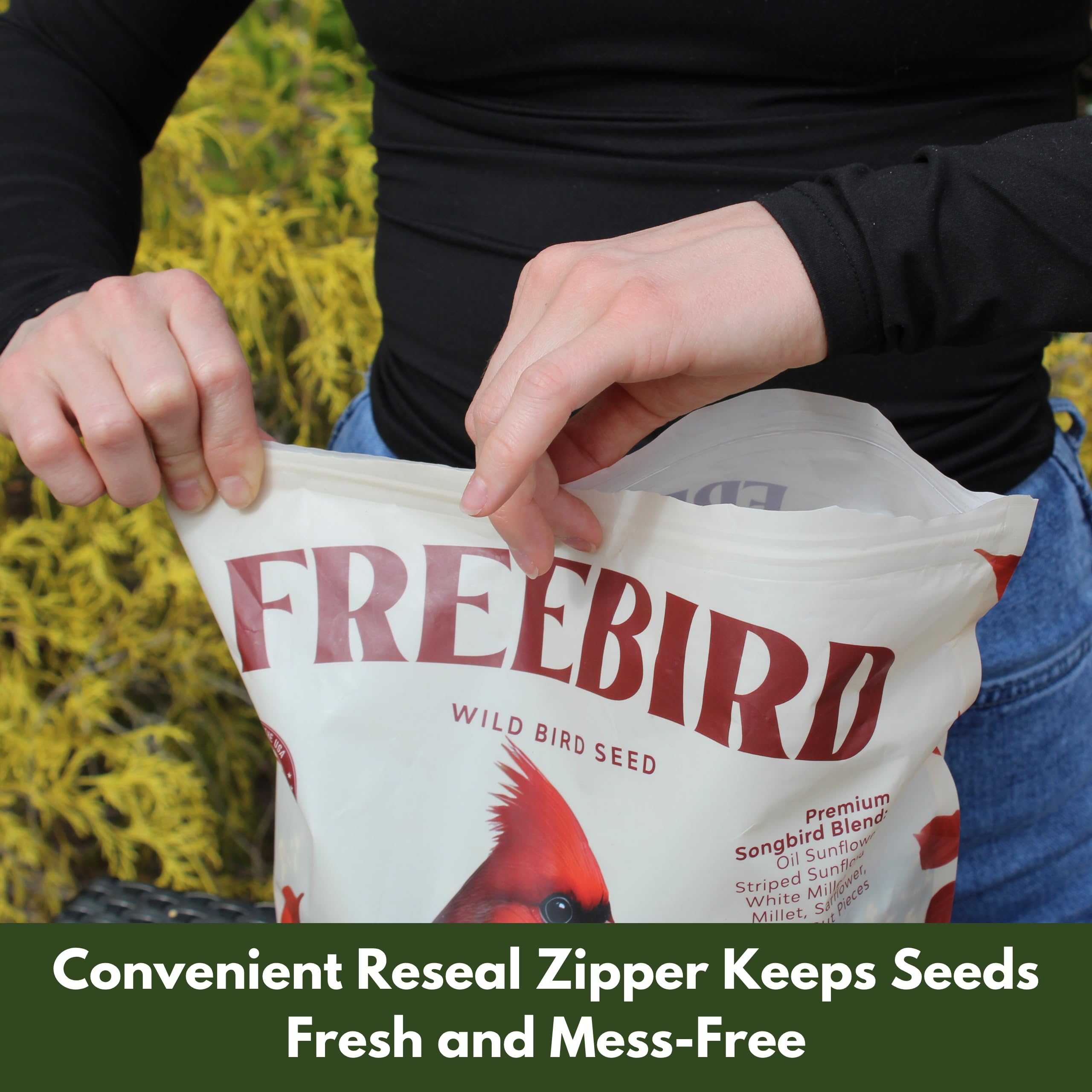 Freebird graines tournesol raye pour exterieur, attire une grande variété d oiseaux colorés.