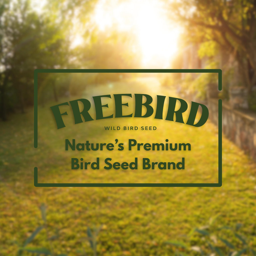 Freebird nutrition oiseaux toute annee exterieur, convient a diverses situations d alimentation.