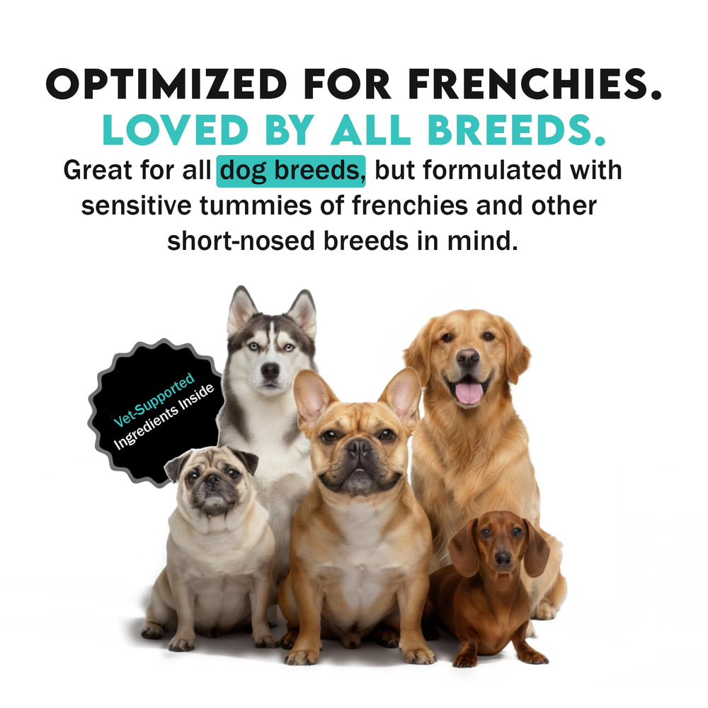 Frenchies vs Everybody – convient à une routine quotidienne simple