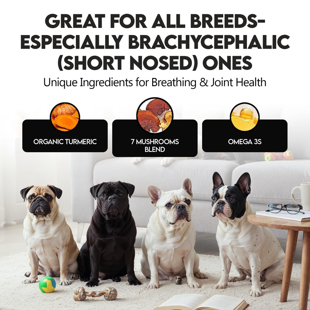 Formule sûre sans additifs Frenchies vs Everybody, extraction aqueuse assurant puissance.
