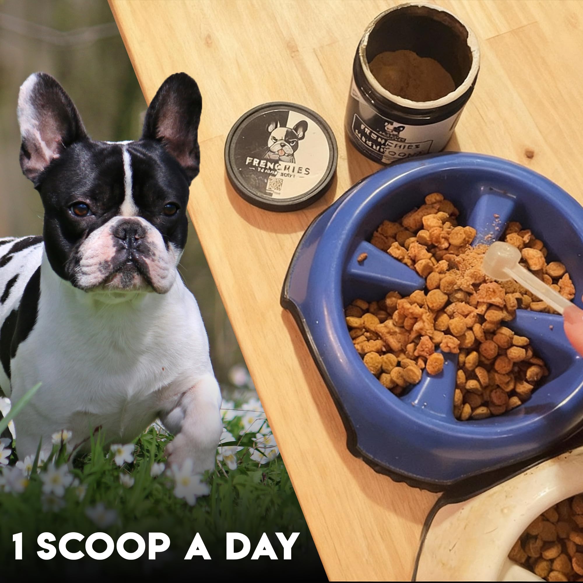 Goût apprécié par les chiens difficiles Frenchies vs Everybody.