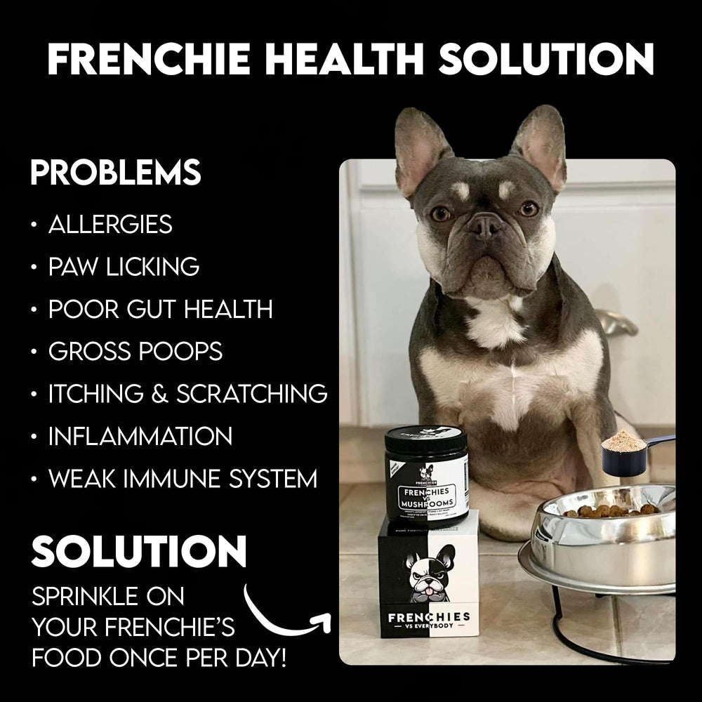 Poudre digestive et immunitaire Frenchies vs Everybody prête à mélanger au repas.
