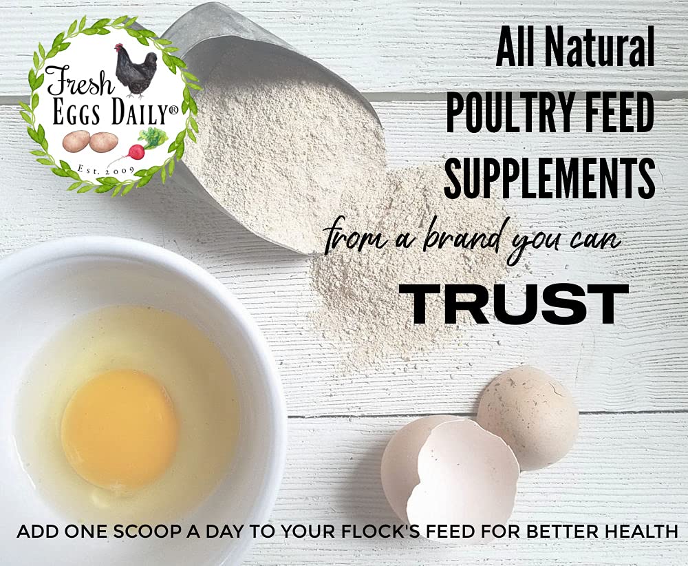 Fresh Eggs Daily doseur-mesure poudre: dosage pratique pour nourrir canetons et poules.