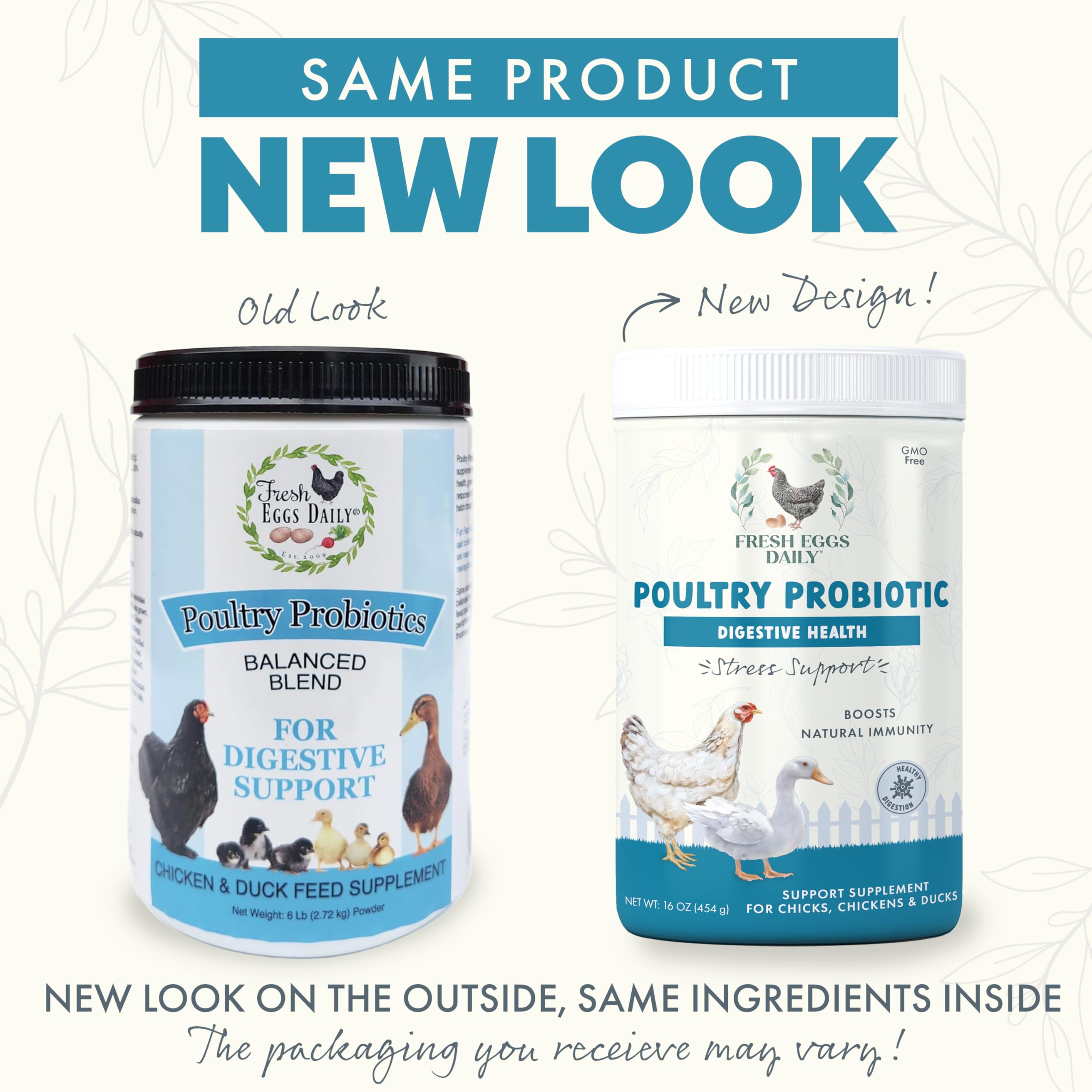 Fresh Eggs Daily Probiotiques – poudre: mélange facile pour alimentation quotidienne