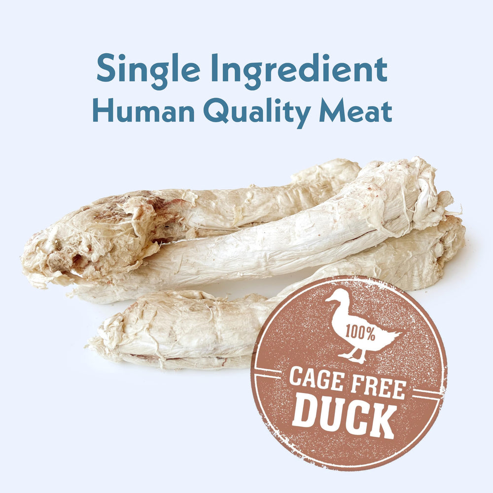 Fresh Is Best - Haute protéine: idéal pour animaux actifs et gourmands.