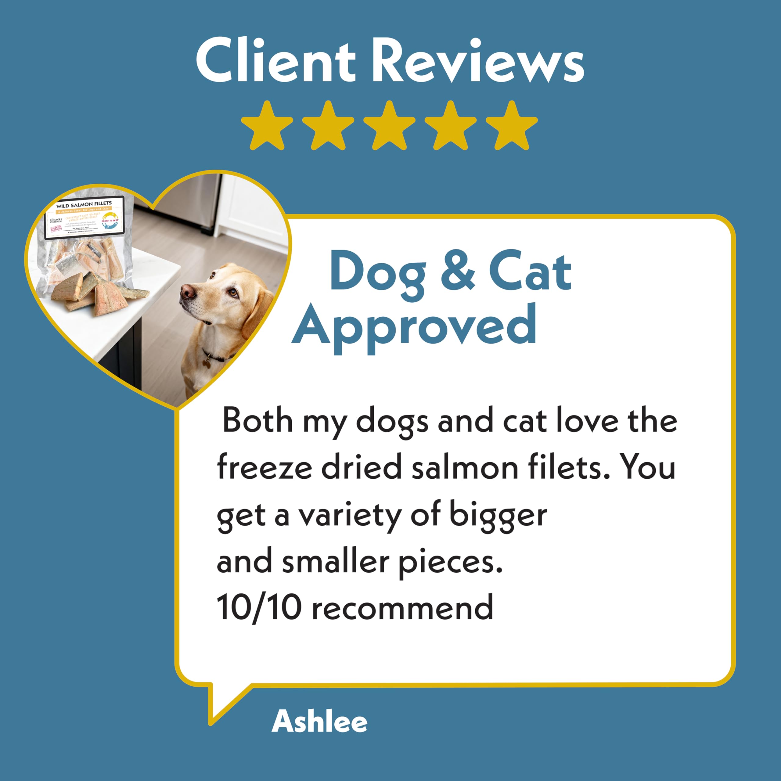 Fresh Is Best saumon-fillets-snack-pour-chat : option savoureuse pour chats gourmands et actifs.