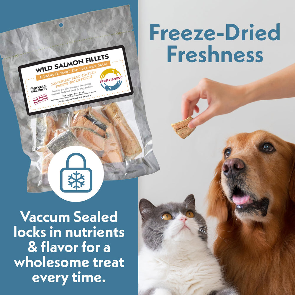 Fresh Is Best saumon-fillets-snack-pour-chiens : snack pratique et savoureux pour chiens actifs.