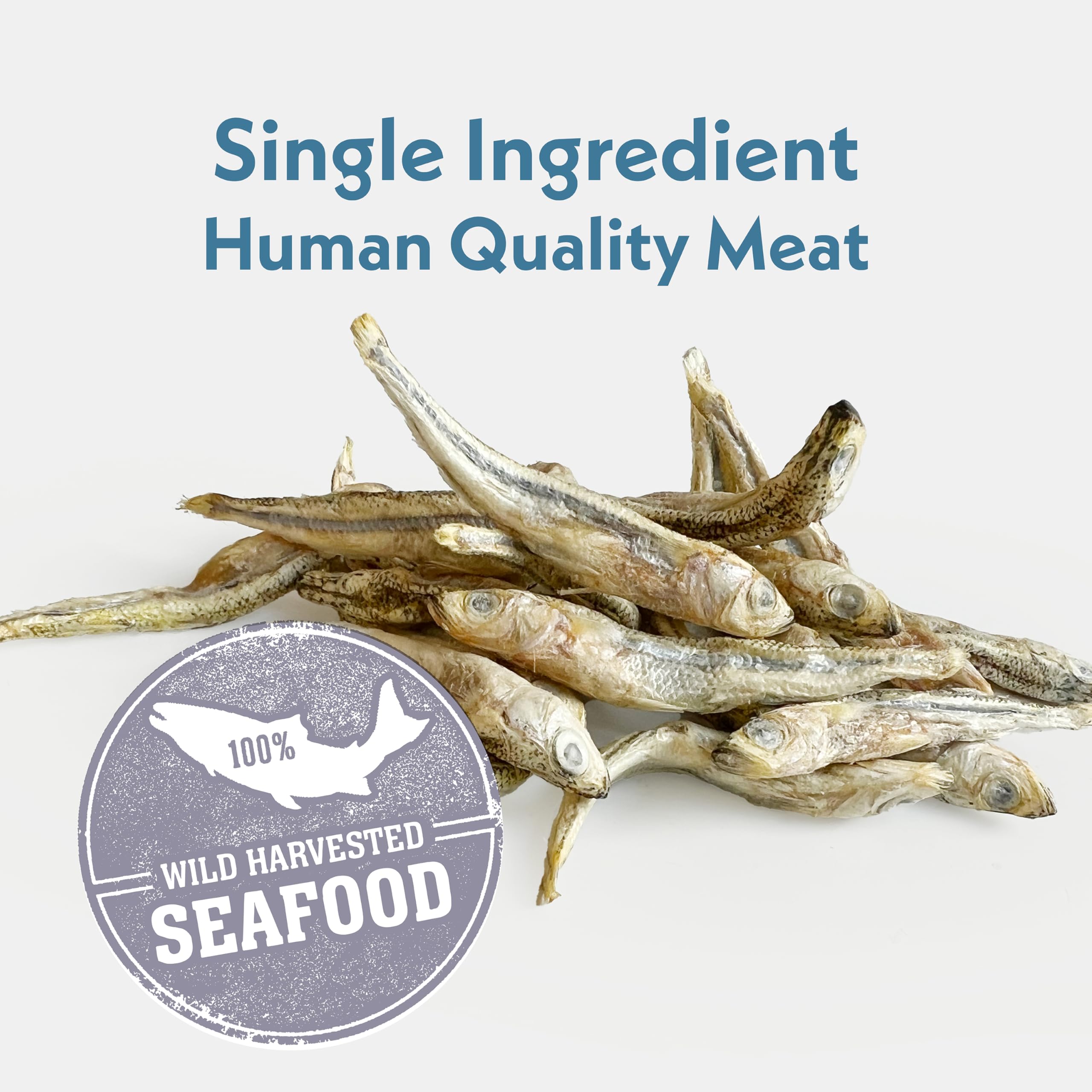 Fresh Is Best Silverside Minnows – emballage refermable qui garde la fraîcheur.