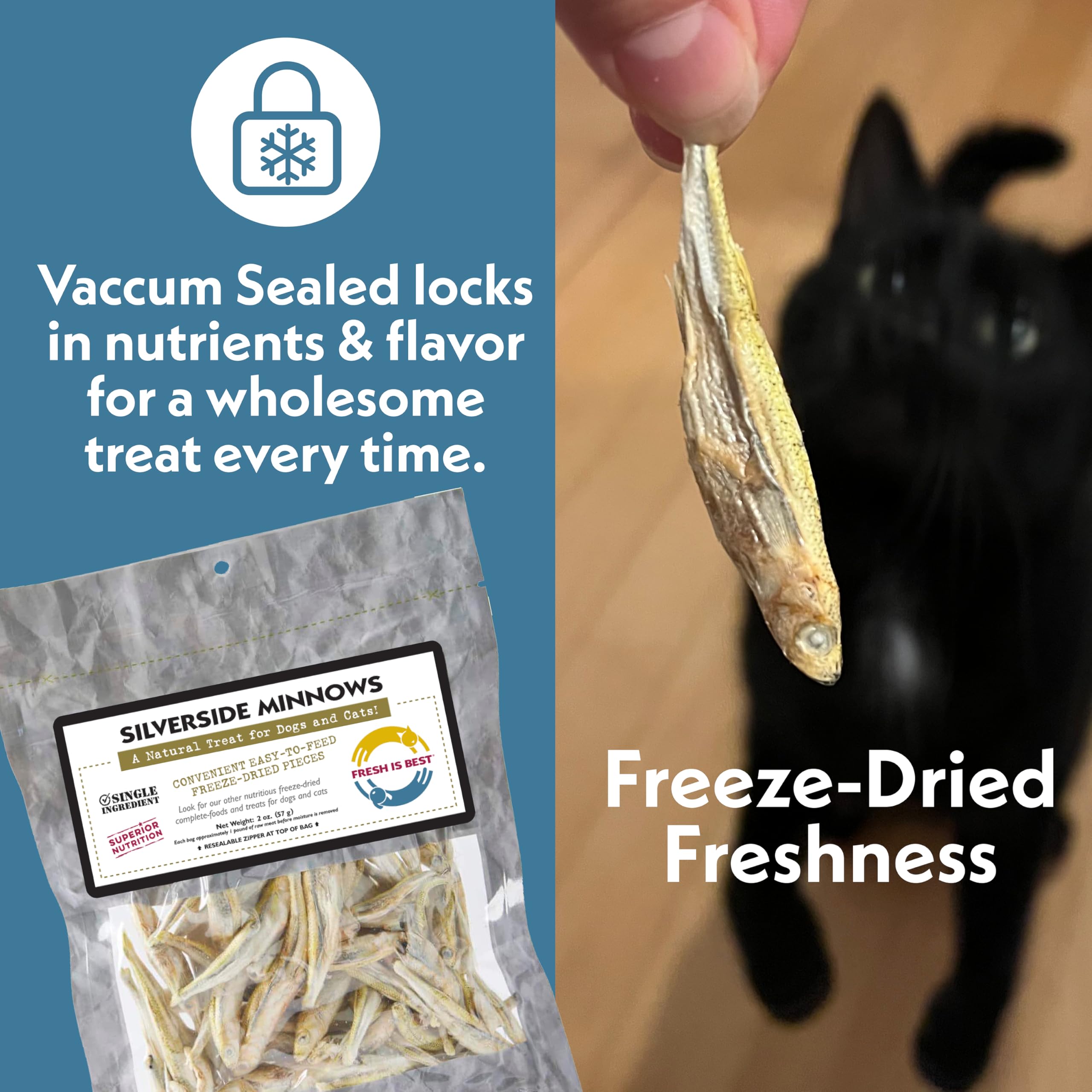 Fresh Is Best Silverside Minnows – lyophilisation préserve les nutriments et la saveur.