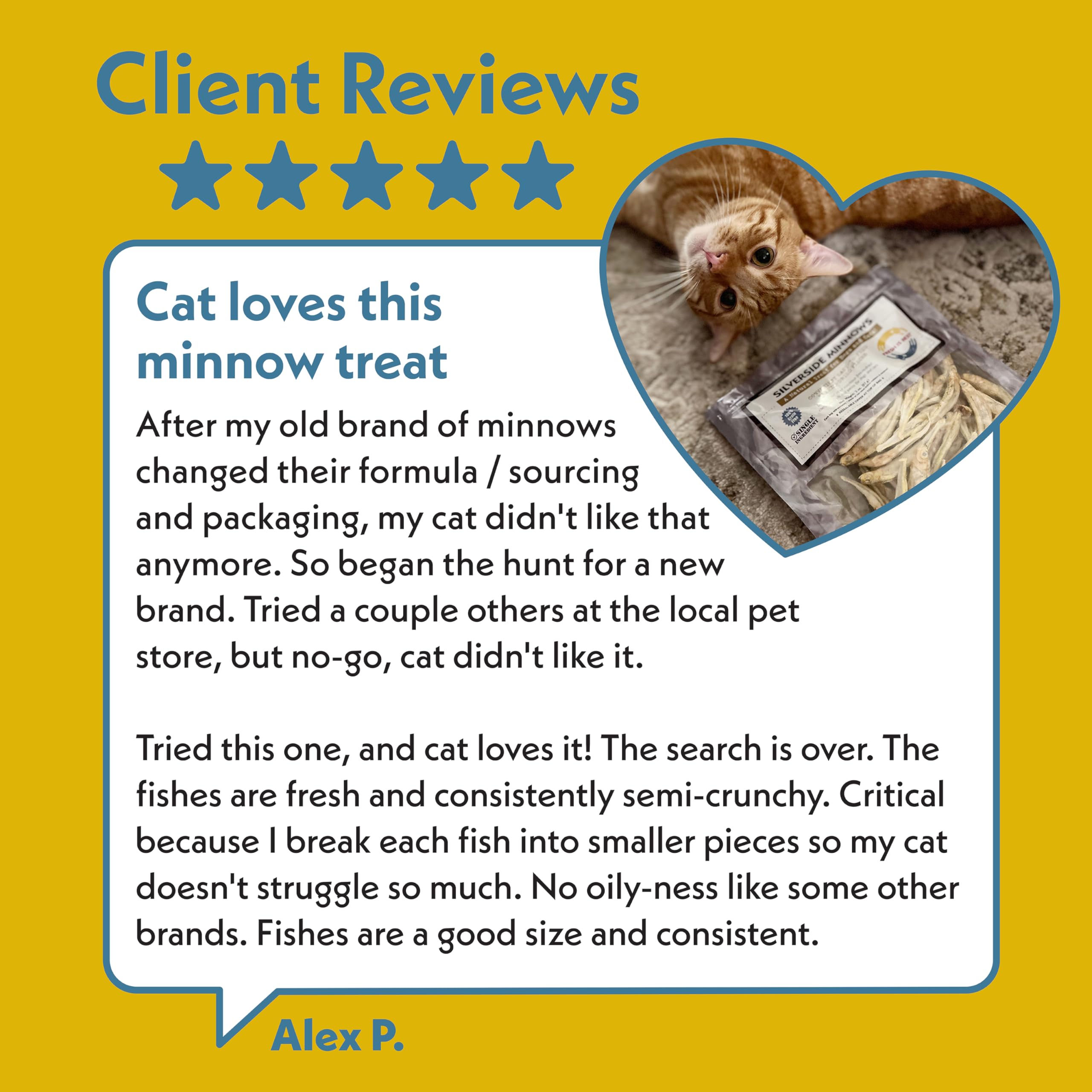 Fresh Is Best Silverside Minnows – petits morceaux faciles à doser pour chats et chiens.