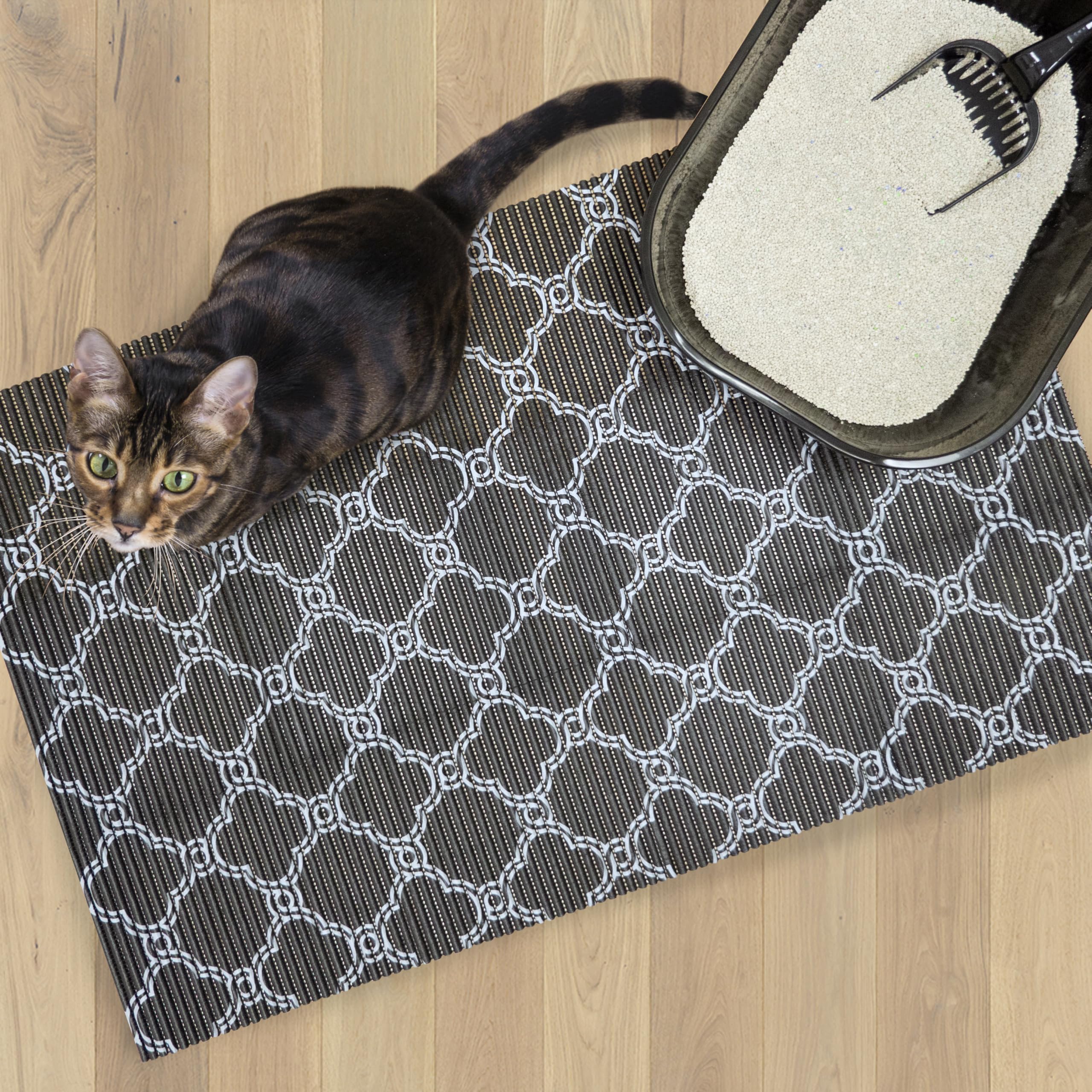 Fresh Kitty tapis polyvalent pour oiseaux et cobayes, hygiène durable.