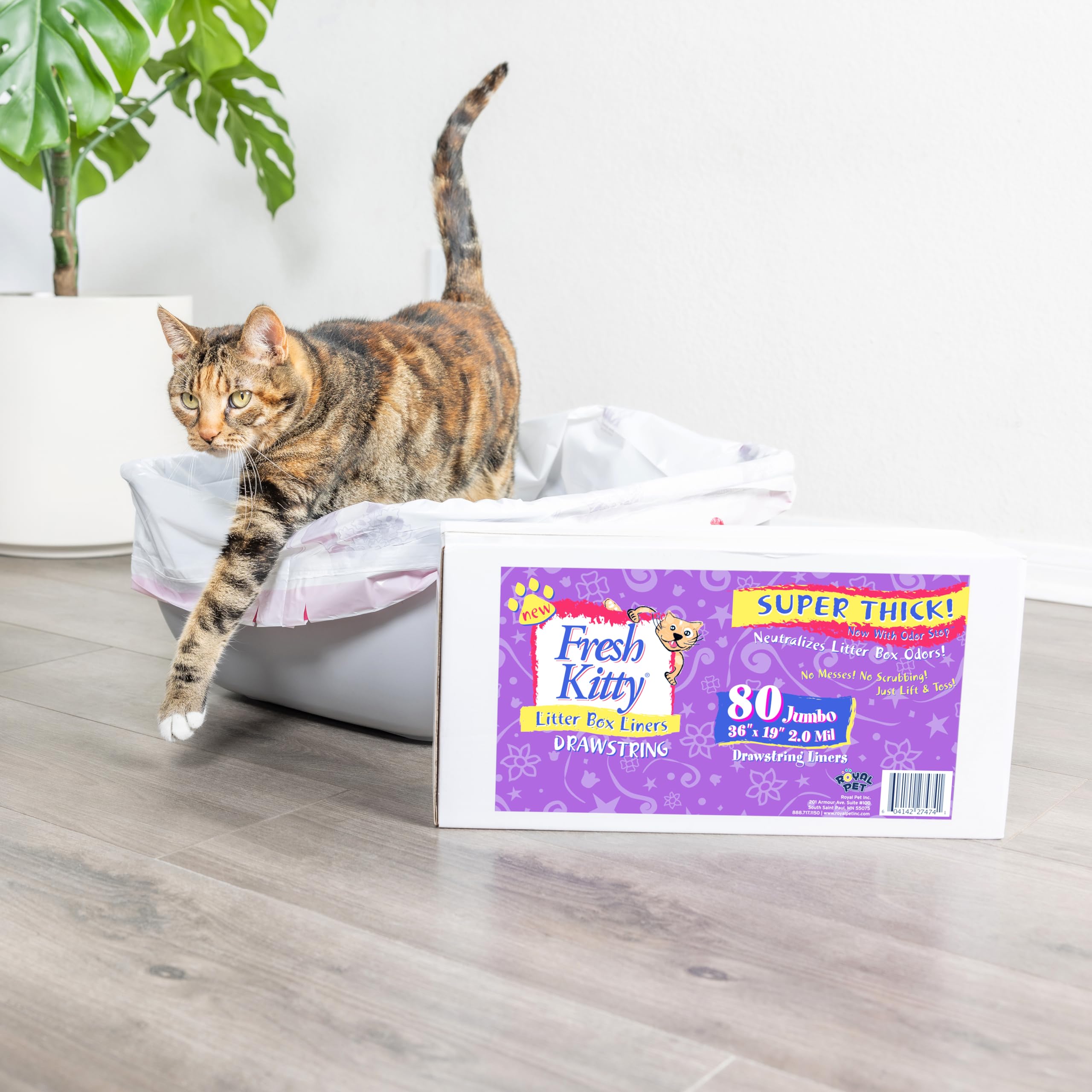Fresh Kitty: utilisation rapide et propre pour nettoyages efficaces.