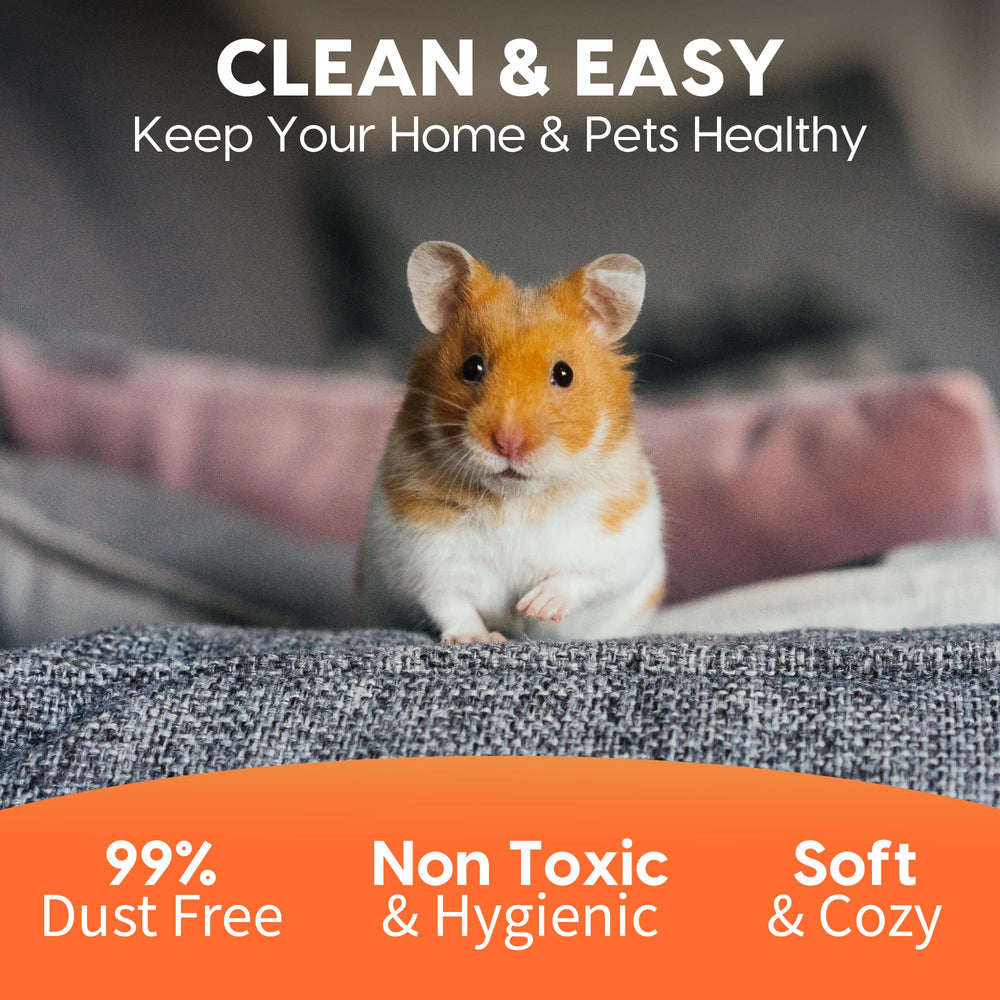 Fresh News habitat propre pour petits animaux.