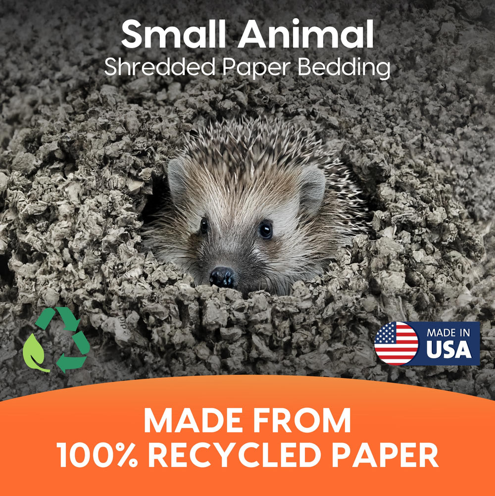 Fresh News 100% papier recyclé, matériau durable.